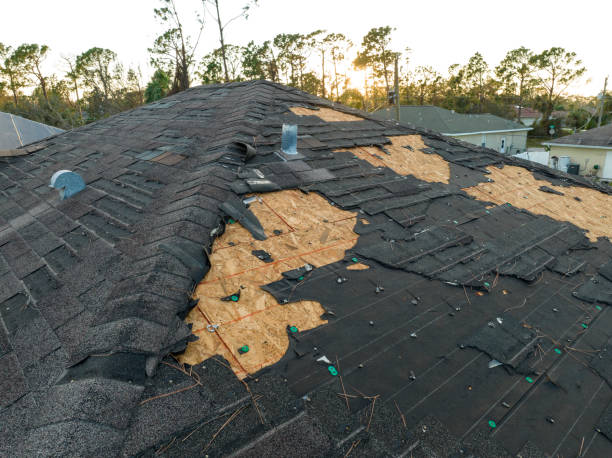 Best Slate Roofing  in Lewisburg, PA